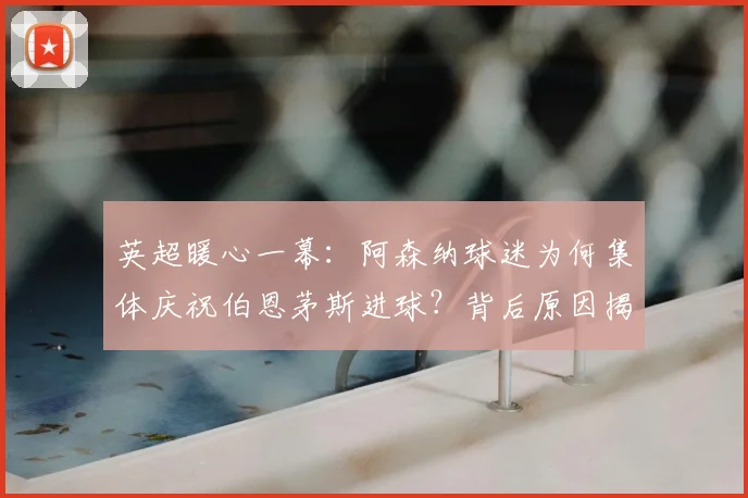 英超暖心一幕:阿森纳球迷为何集体庆祝伯恩茅斯进球?背后原因揭秘