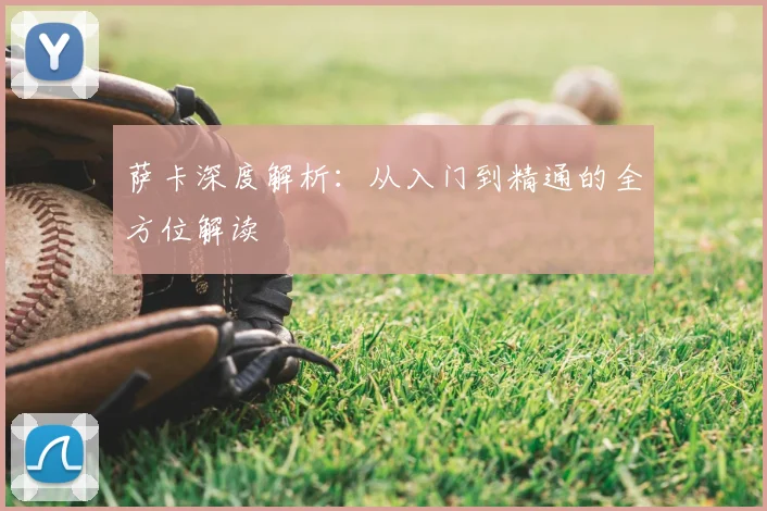 萨卡深度解析:从入门到精通的全方位解读