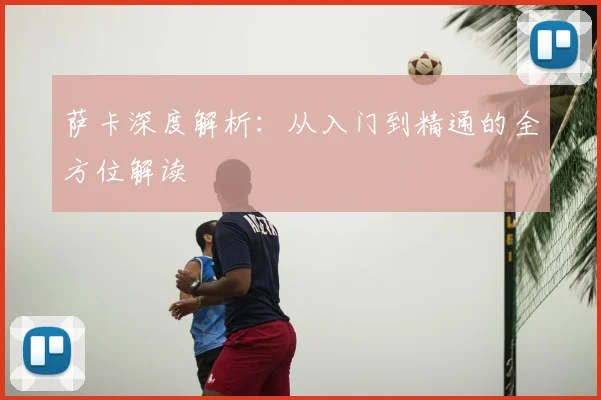 萨卡深度解析：从入门到精通的全方位解读