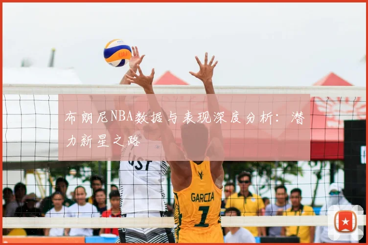 布朗尼NBA数据与表现深度分析:潜力新星之路